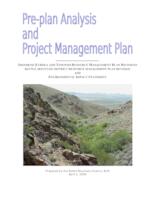Pre-plan analysis and project management plan