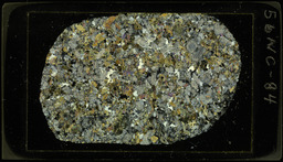 Thin section 56NC84, hornblende, biotite meta-quartz doirite (polarized)