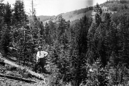 Nevada National Forest, boundary survey party