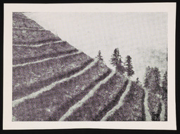 Snow tracks on hillside, copy 1