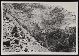 Cultivation of land on slope
