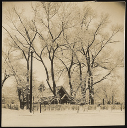 Dr. Church's home with trees in front