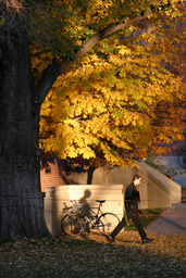 Autumn on campus, the Quad, 2005