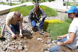 Placing stones around Tree of Gernika