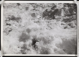 Hoarfrost snow patch, copy 3