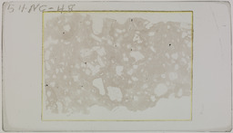 Thin section 54NC48, rhyolite