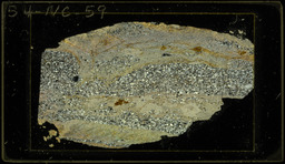 Thin section 54NC59, quartz-muscovite-biotite schist (polarized)