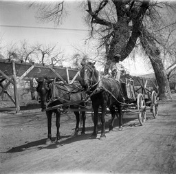 Man driving two-horse wagon