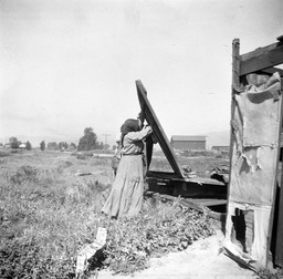 Man and woman dismantling a house