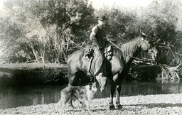 Cowboy on horseback with dog