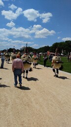 Joaldunak procession, rear view