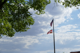 American and Ikurina flags