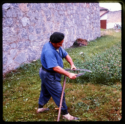 Man with gardening tool