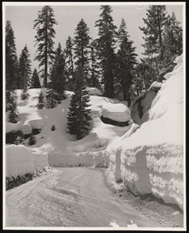 Snow-lined road of Placerville Grade, Lake Tahoe