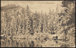 A Lake Tahoe winter scene