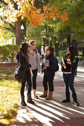 Students on campus, Quad, 2010