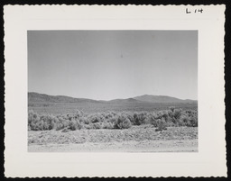 Desert valley with sagebrush, copy 1
