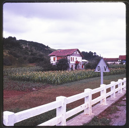 House and crop field in front of hillside