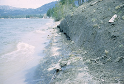 Water quality at El Dorado County beach, looking East, 1965