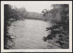 Huron River with bridge in Nichols Arboretum