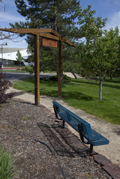 Cherry Blossom Garden, 2010