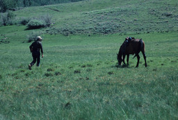 Rancher and Horse on a Mountainside