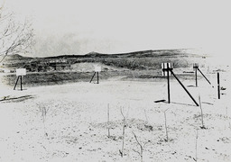 Basketball hoops, University of Nevada, 1909