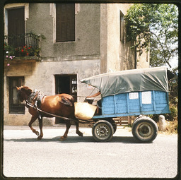 Horse-drawn cart in motion