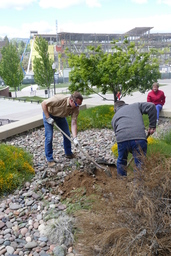 Digging hole for Tree of Gernika planting, with view of campus