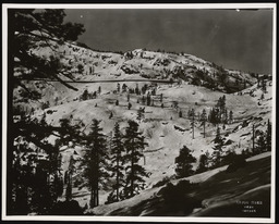 Markings on snow at Donner Pass