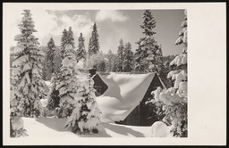 Lodge roof and trees covered with snow