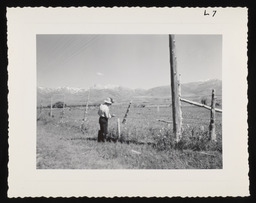 Worker fixing wire fence, copy 1