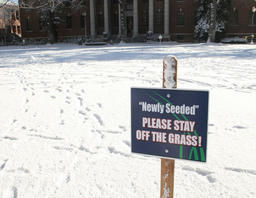 Winter on campus, Quad, 2007
