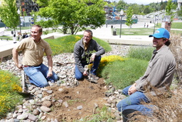 Workers smiling next to planted Tree of Gernika