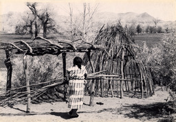 Frame of a Paiute grass house and sunshade