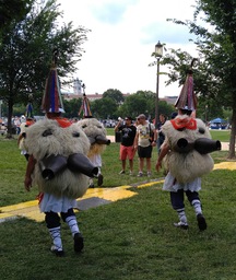 Joaldunak procession on field