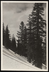 Rubicon Peak snow course