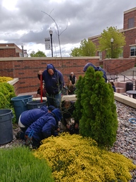 Placing Tree of Gernika into ground