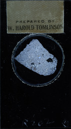 Rhyolite, thin slice (polarized)