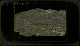 Thin section 54NC64, graphite-quartz-muscovite schist (polarized)