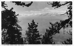 Lake Tahoe through the pines