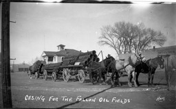 Casing for the Fallon oil fields