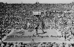 The crowd at ringside