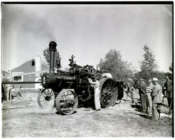 Old-Fashioned Threshing Bee, 1920 Case steam tractor, 1