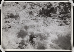 Hoarfrost snow patch, copy 1