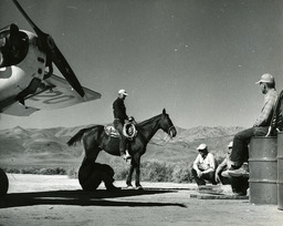 Man on horseback under plane