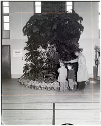 Three people looking at a plant display