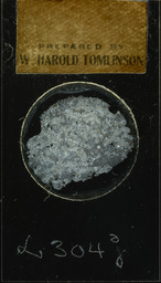 Latite, thin slice (polarized)
