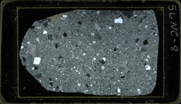 Thin section 56NC8, rhyolite (polarized)