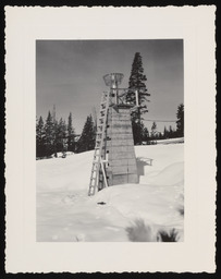 Snow gauge on tower with ladder, copy 5